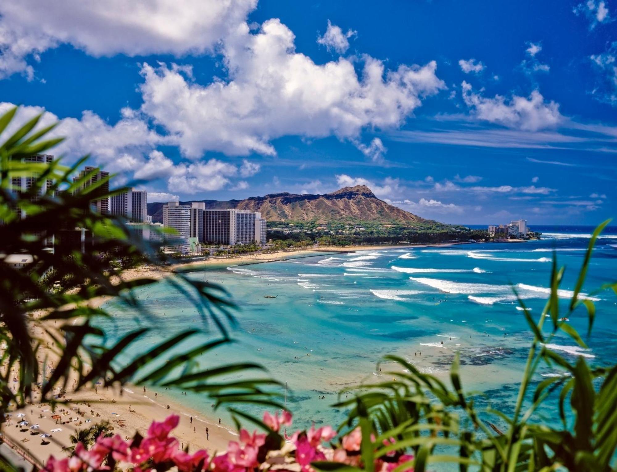 Great Ocean View Condo, Near Beach With Free Parking! Honolulu Ngoại thất bức ảnh